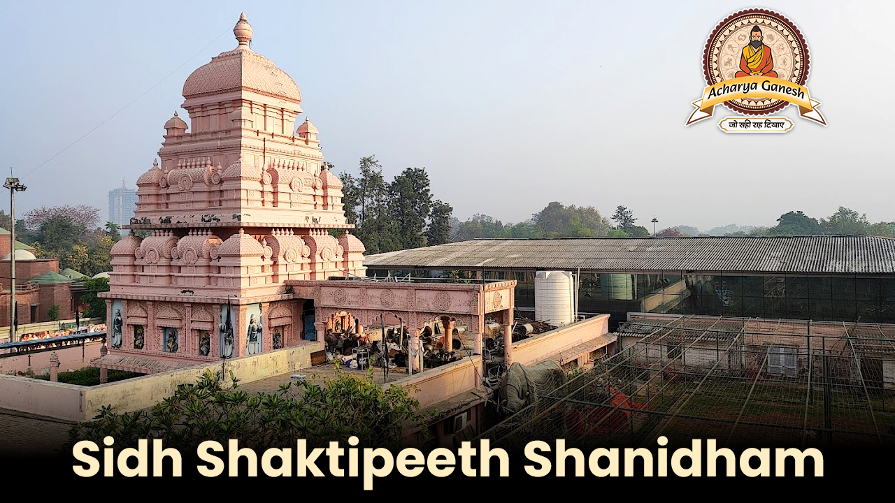 Discover t