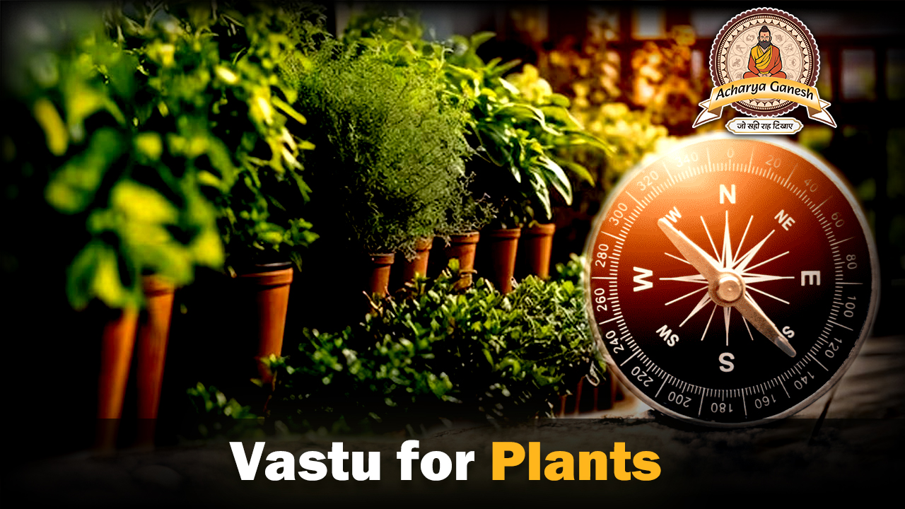 Vastu for Plants Positive Energy