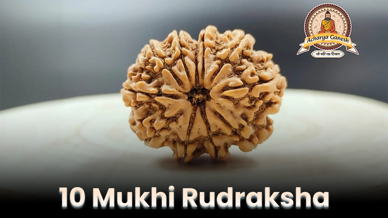 10 Mukhi Rudraksha