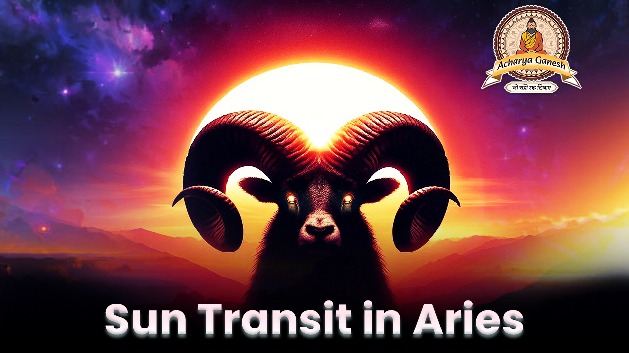 Sun Transi