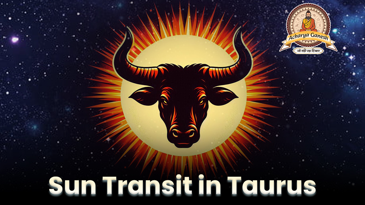 Sun Transi