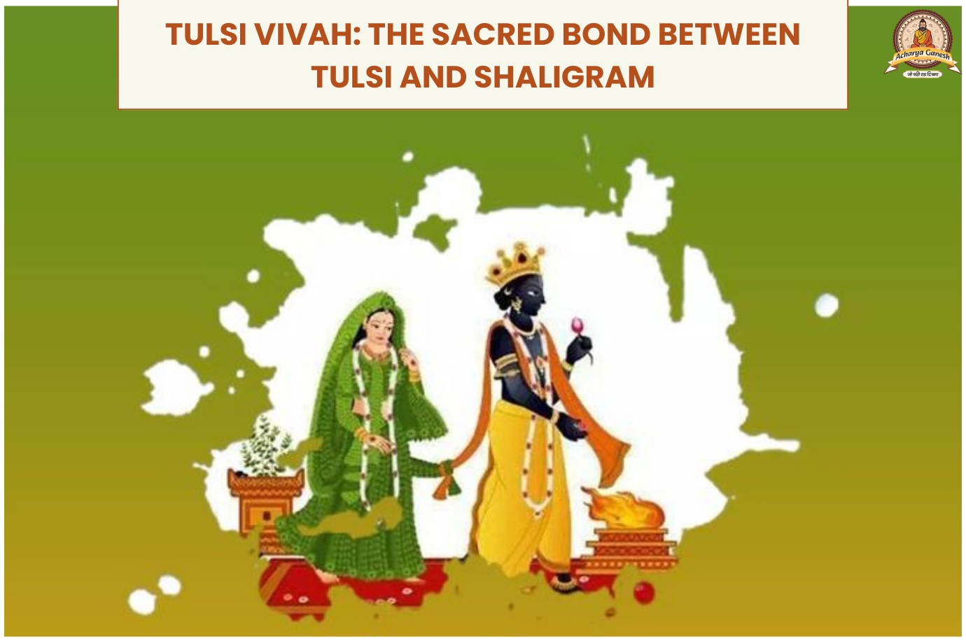 Tulsi Viva