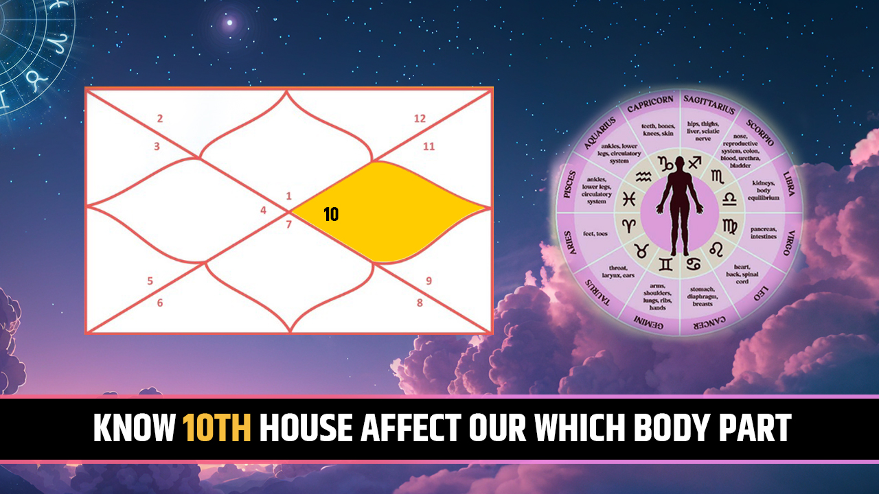 10th house for body part