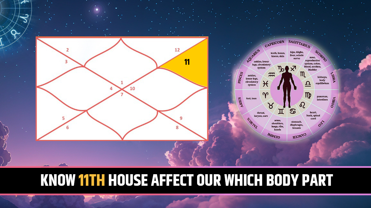 11th house for body part
