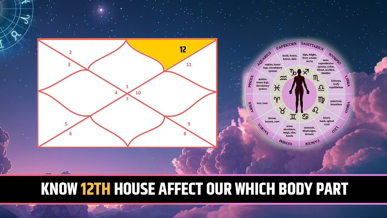 12th house for body part