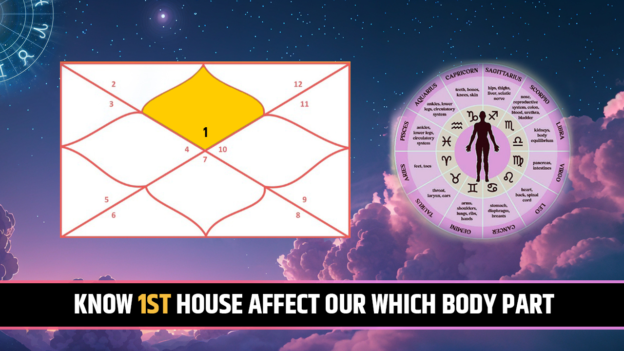 1st house for body part