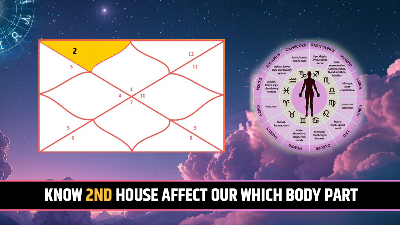 Discoverin