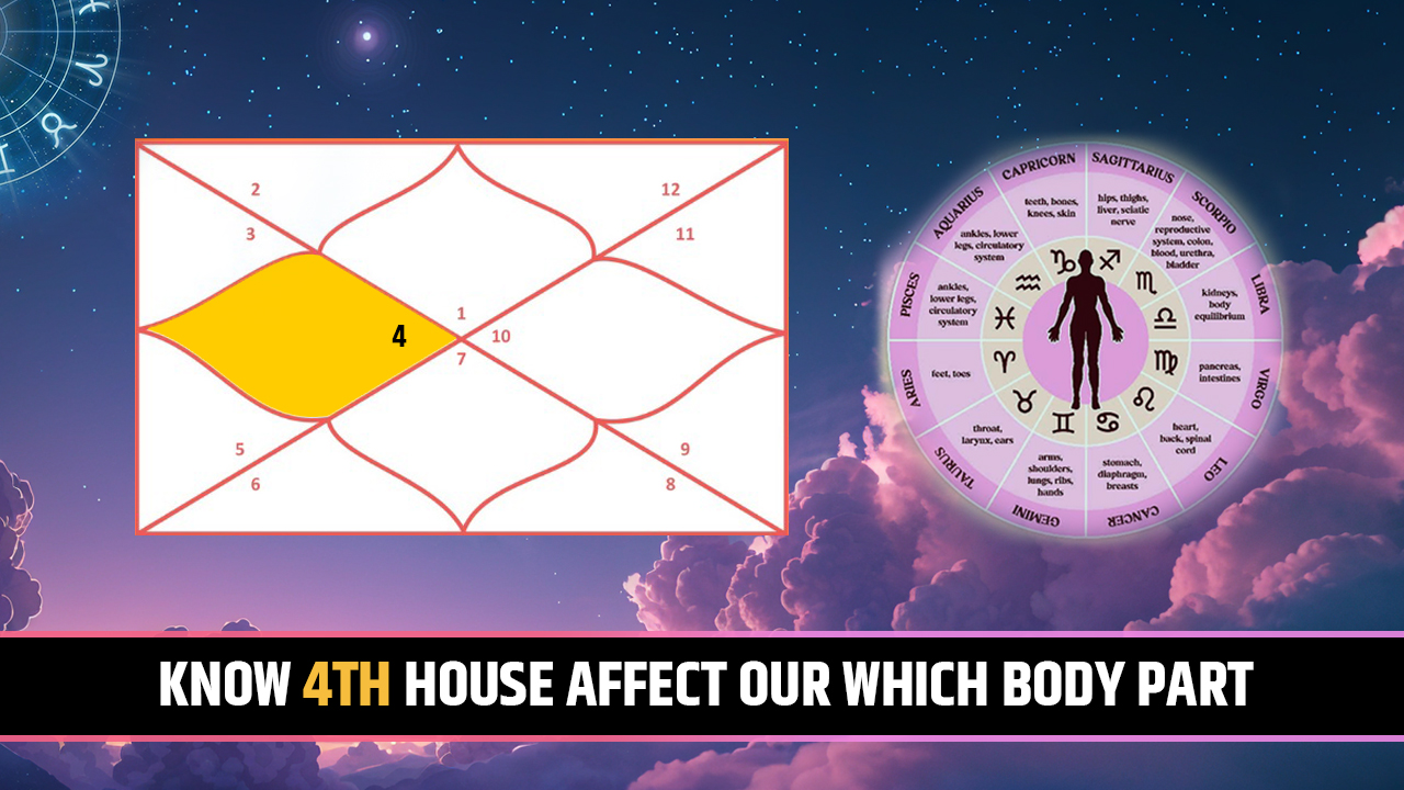 4th house for body part