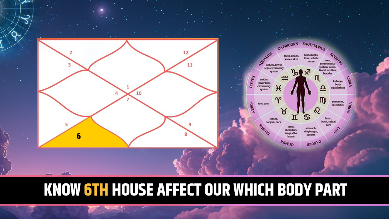 6th house for body part