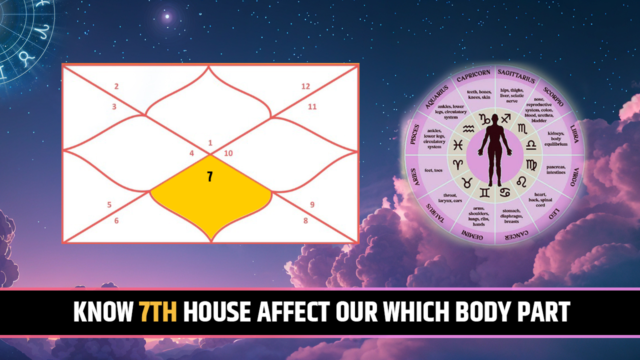 7th house for body part