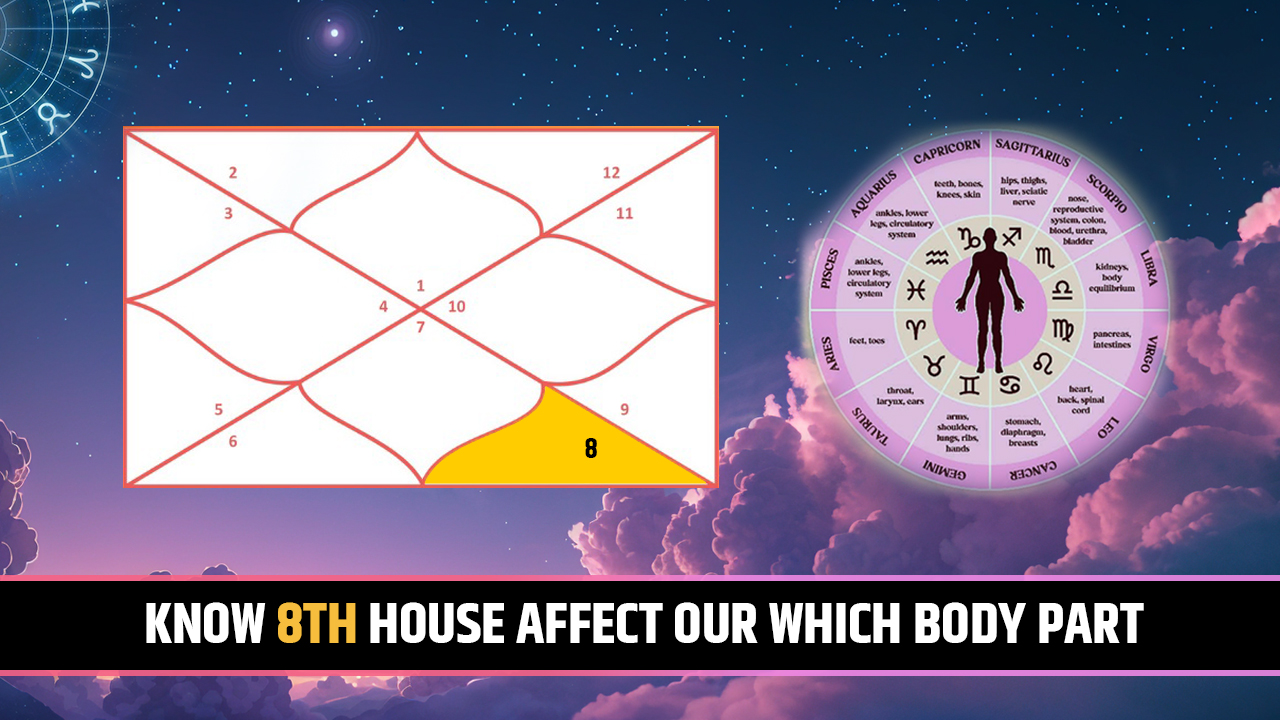 8th house for body part