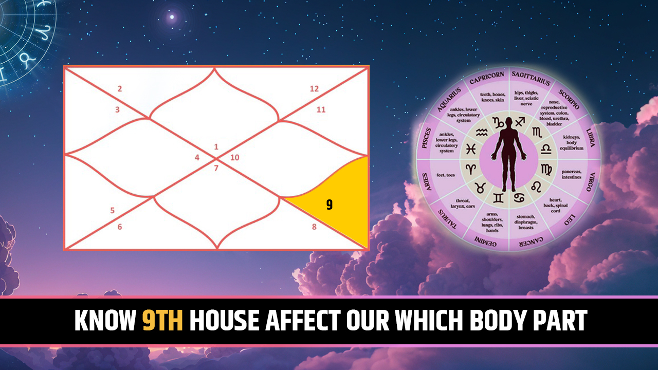 9th house for body part