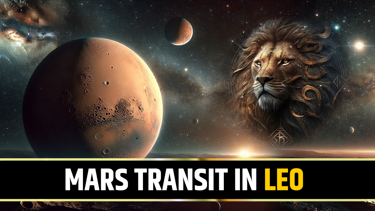 Mars Trans