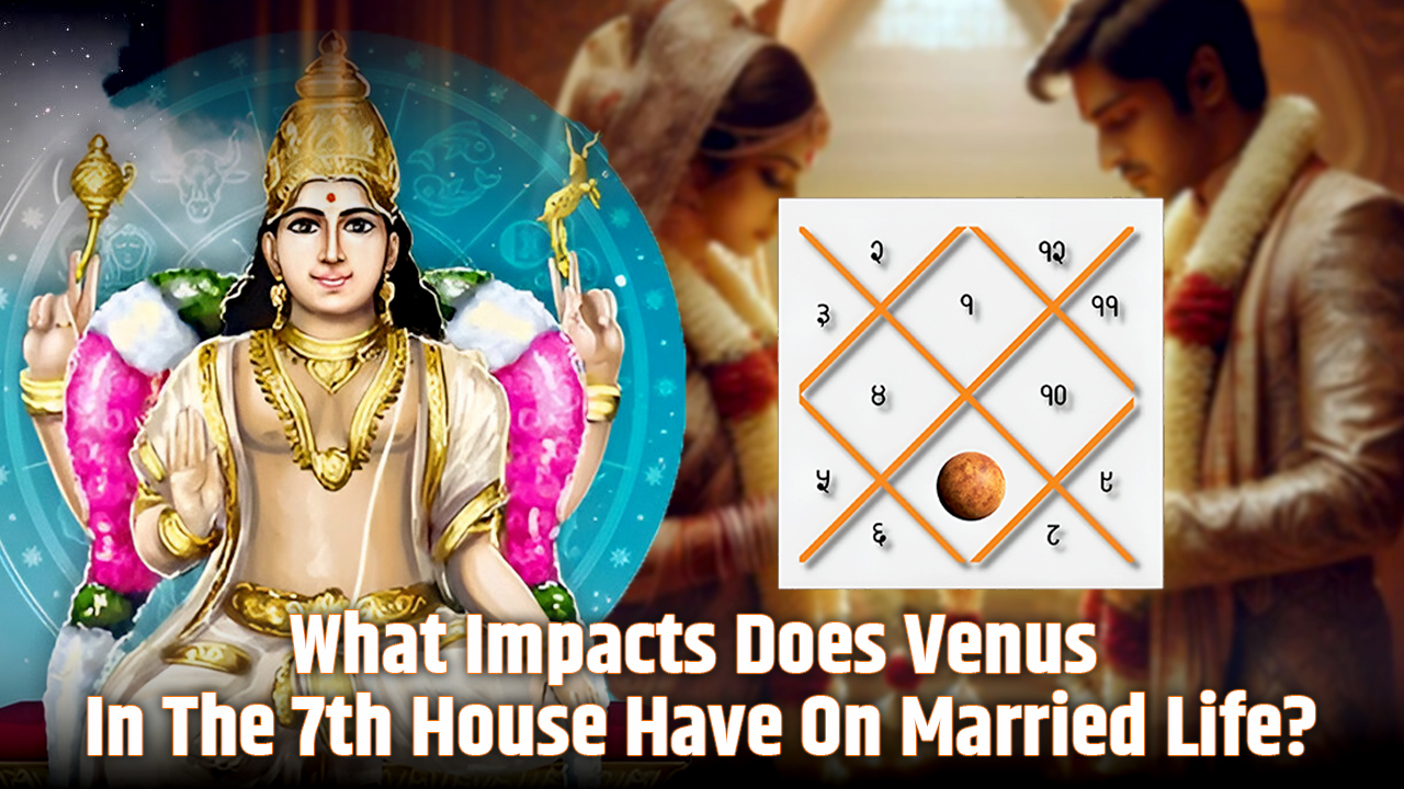 7th house in venus