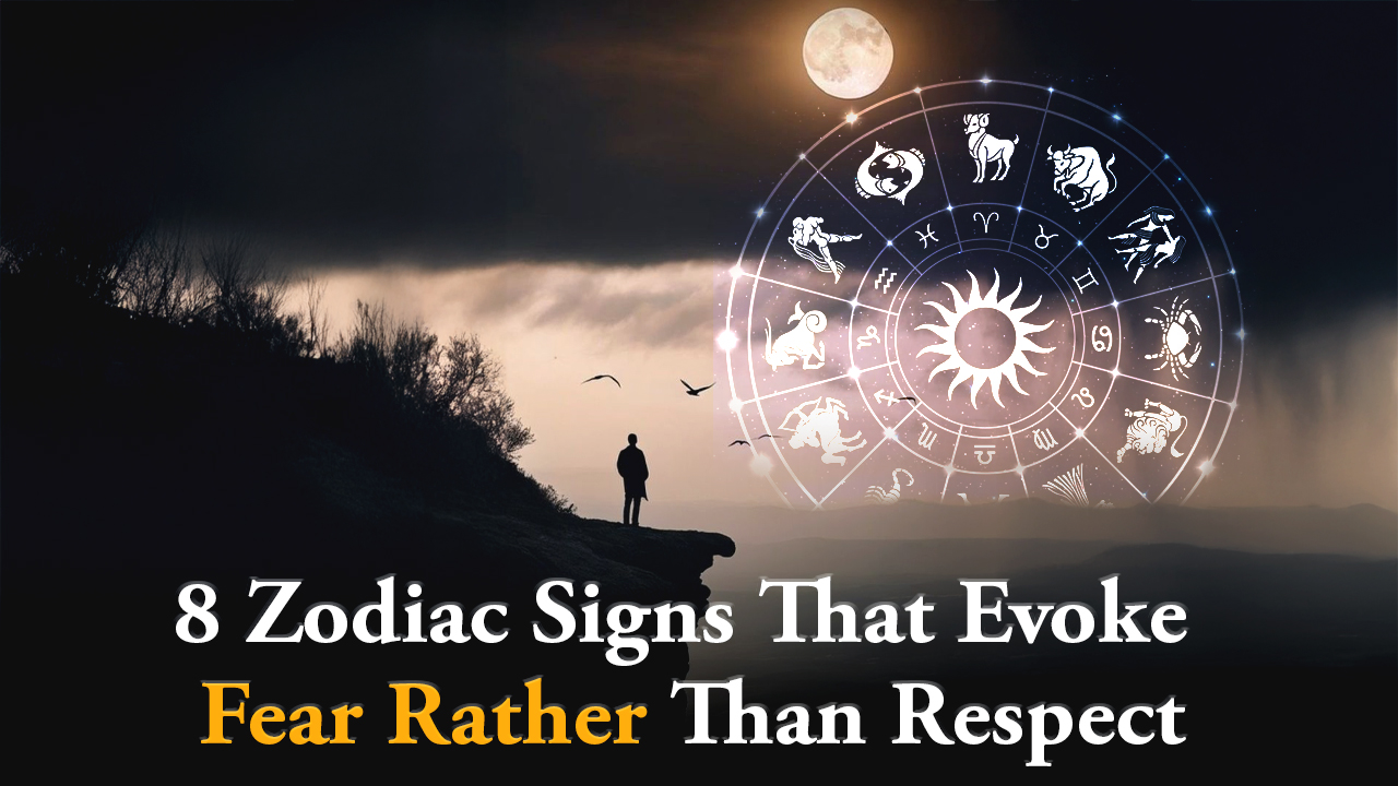 8 Zodiac S
