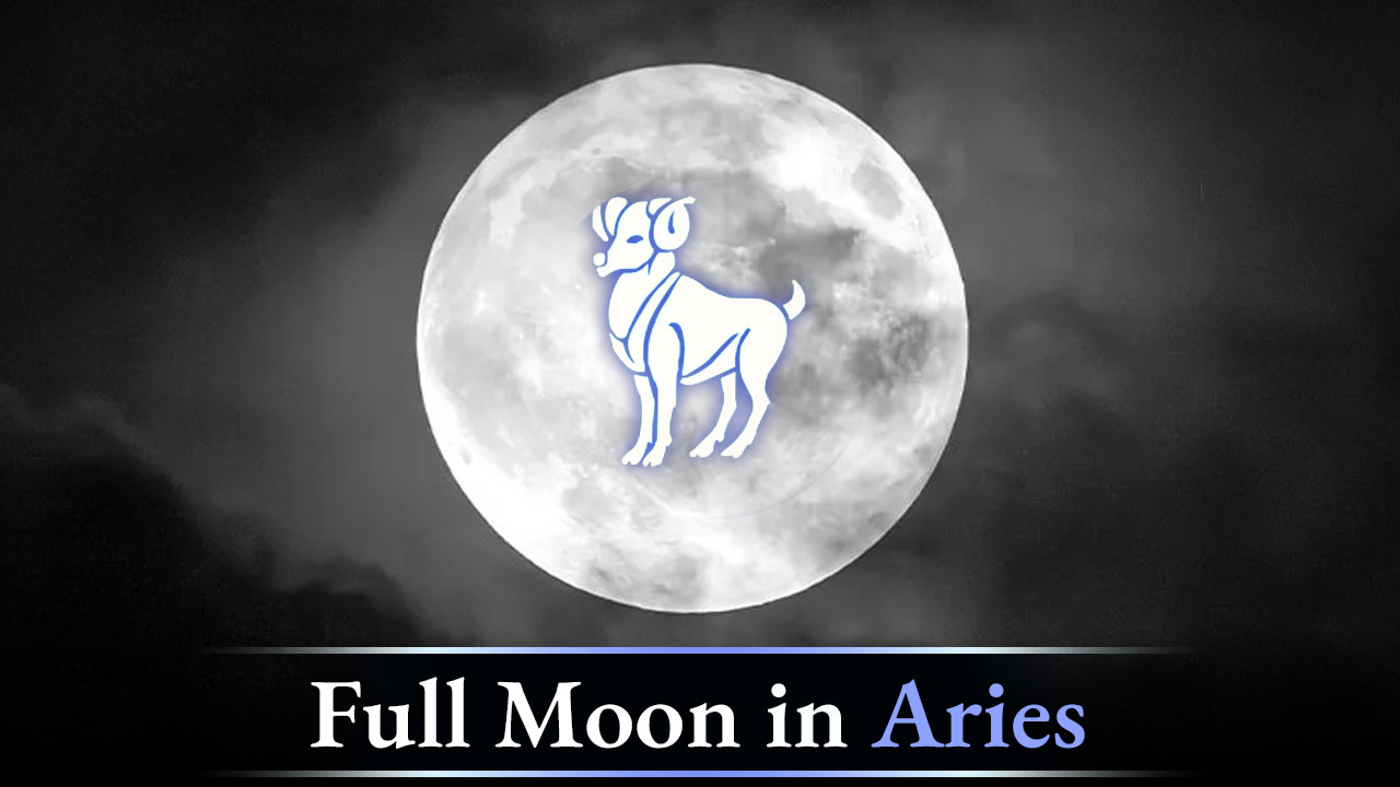 Full Moon 