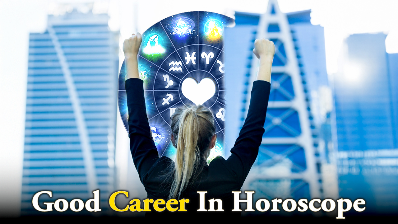 Career Suc