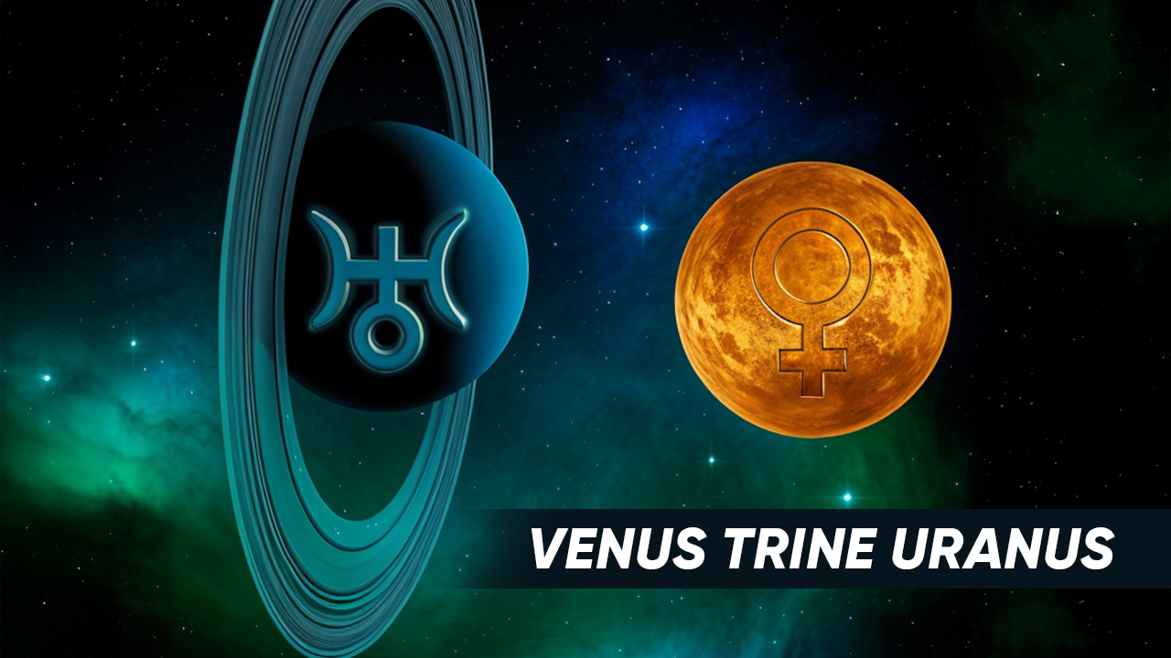 Venus Trin