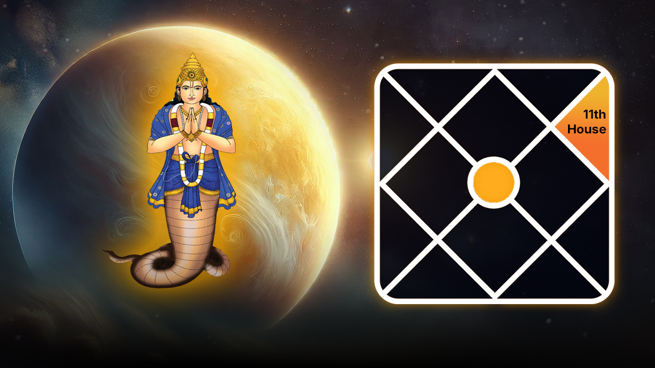 Venus and Rahu in the 11th house