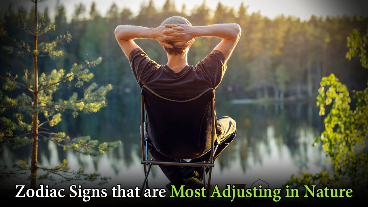 Zodiac Signs That Are Most Adjusting In Nature