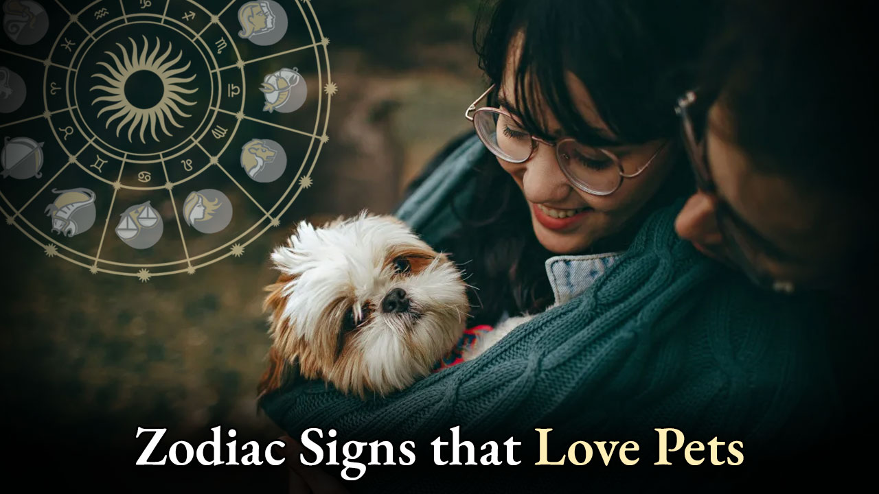 Zodiac Sig