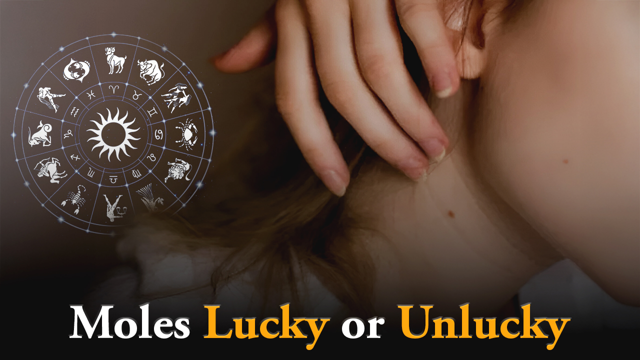 moles Lucky or Unlucky